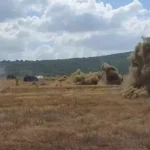 Η Ελληνική Δύναμη Βουλγαρίας προχώρησε σε χρήση αντιαρματικών TOW-2 των M901A2 ITV στα πλαίσια της «NOBLE BLUEPRINT 23» [ΦΩΤΟ/ΒΙΝΤΕΟ]