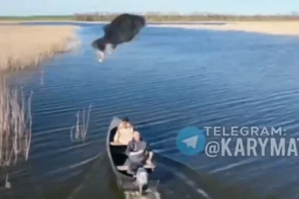 Ουκρανός πετυχαίνει με ψάρι, Ρωσικό μη επανδρωμένο DRONE στην Χερσώνα [ΒΙΝΤΕΟ]