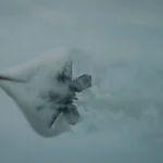 F-55 και F-22 Super: Ο Τραμπ αποκαλύπτει τα σχέδια για νέα μαχητικά των ΗΠΑ - Κατηγορεί την Κίνα για αντιγραφές