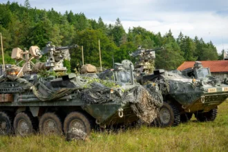 Δύο οχήματα Stryker του 2ου Συντάγματος Ιππικού του Αμερικανικού Στρατού με παραλλαγή σε λιβάδι στο Χόενφελς της Γερμανίας
