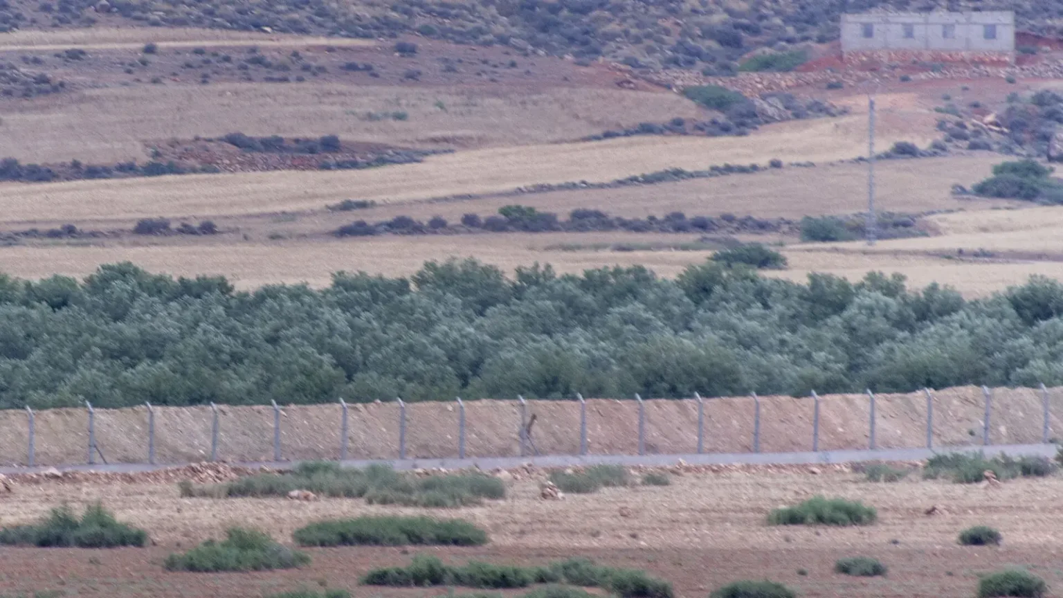 Συρματοπλέγματα και φράχτης διασχίζουν ξηρή πεδιάδα με ελαιόδεντρα στα σύνορα Μαρόκου και Αλγερίας