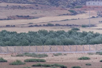 Συρματοπλέγματα και φράχτης διασχίζουν ξηρή πεδιάδα με ελαιόδεντρα στα σύνορα Μαρόκου και Αλγερίας